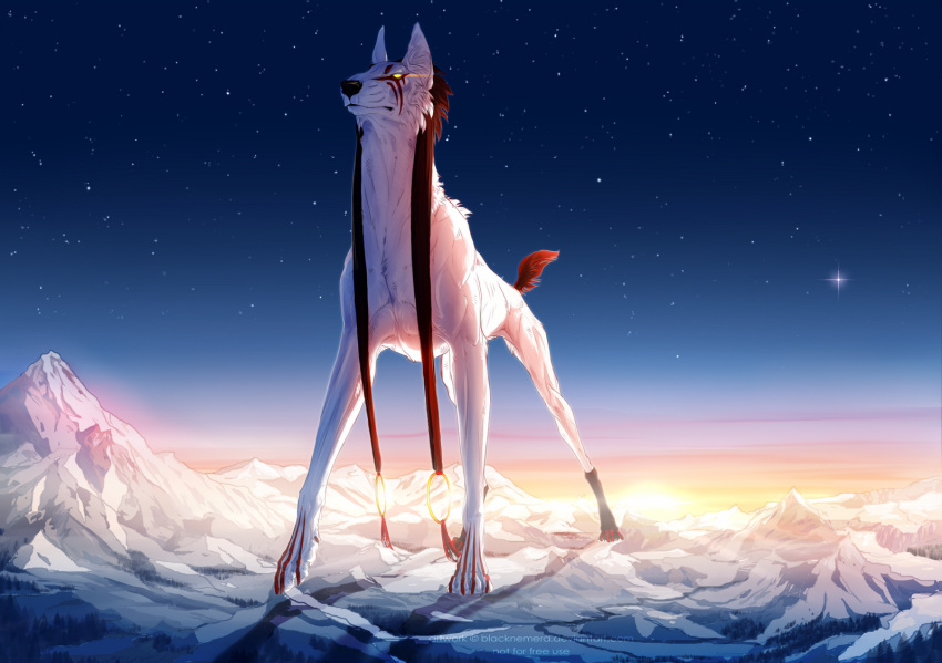 4_toes blacknemera canid canine detailed_background digital_media_(artwork) feet fur hi_res mammal outside paws sky star starry_sky toes twilight white_body white_fur yellow_eyes