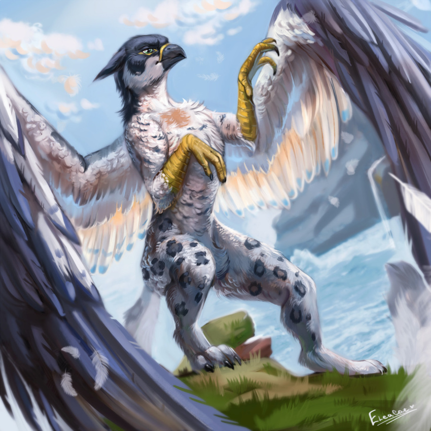 1:1 2021 ambiguous_gender avian beak black_beak claws day detailed_background digital_media_(artwork) eleacat feathered_wings feathers featureless_crotch feet feral fingers grass green_eyes gryphon hi_res mythological_avian mythology outside plant sky toes wings