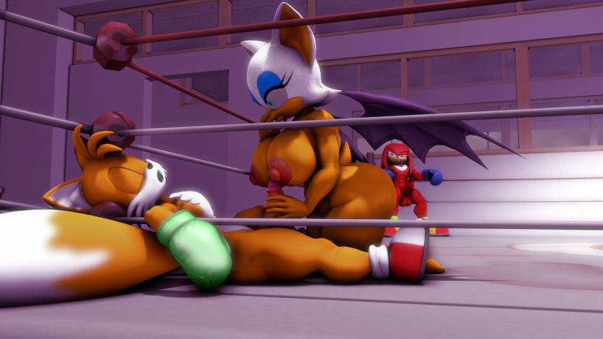 3d_(artwork) absurd_res balls big_breasts boxing_gloves breasts clothing digital_media_(artwork) erection female fighting_ring genitals group handjob handwear hi_res knuckles_the_echidna male miles_prower nipples penile penis rouge_the_bat sex sonic_the_hedgehog_(series) sonicthebitch source_filmmaker