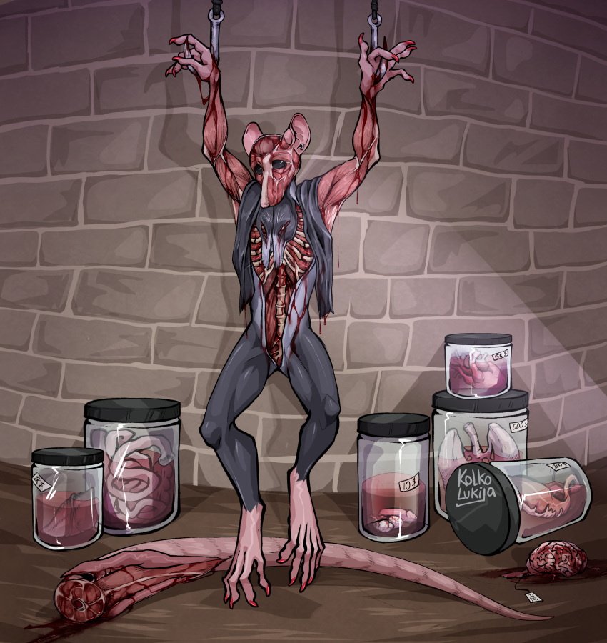 &lt;3 absurd_res anthro balls blood bodily_fluids corpse death genitals gore guts hi_res hooks intestines kolkolukija liver lung male mammal murid murine muscular muscular_anthro muscular_male organs pain penis rat ribs rodent skinning solo suspension