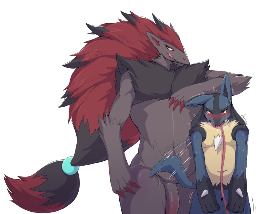 2021 anthro biped blep blue_body blue_fur blush bodily_fluids chest_spike claws collar disiwjd duo finger_claws fur genitals grey_body grey_fur half-erect hand_spike hi_res humanoid_genitalia humanoid_penis inner_ear_fluff leash lucario male nintendo penis pok&eacute;mon pok&eacute;mon_(species) red_claws shaded simple_background size_difference spikes spikes_(anatomy) standing sweat tailwag tears tongue tongue_out tuft video_games white_background yellow_body yellow_fur zoroark