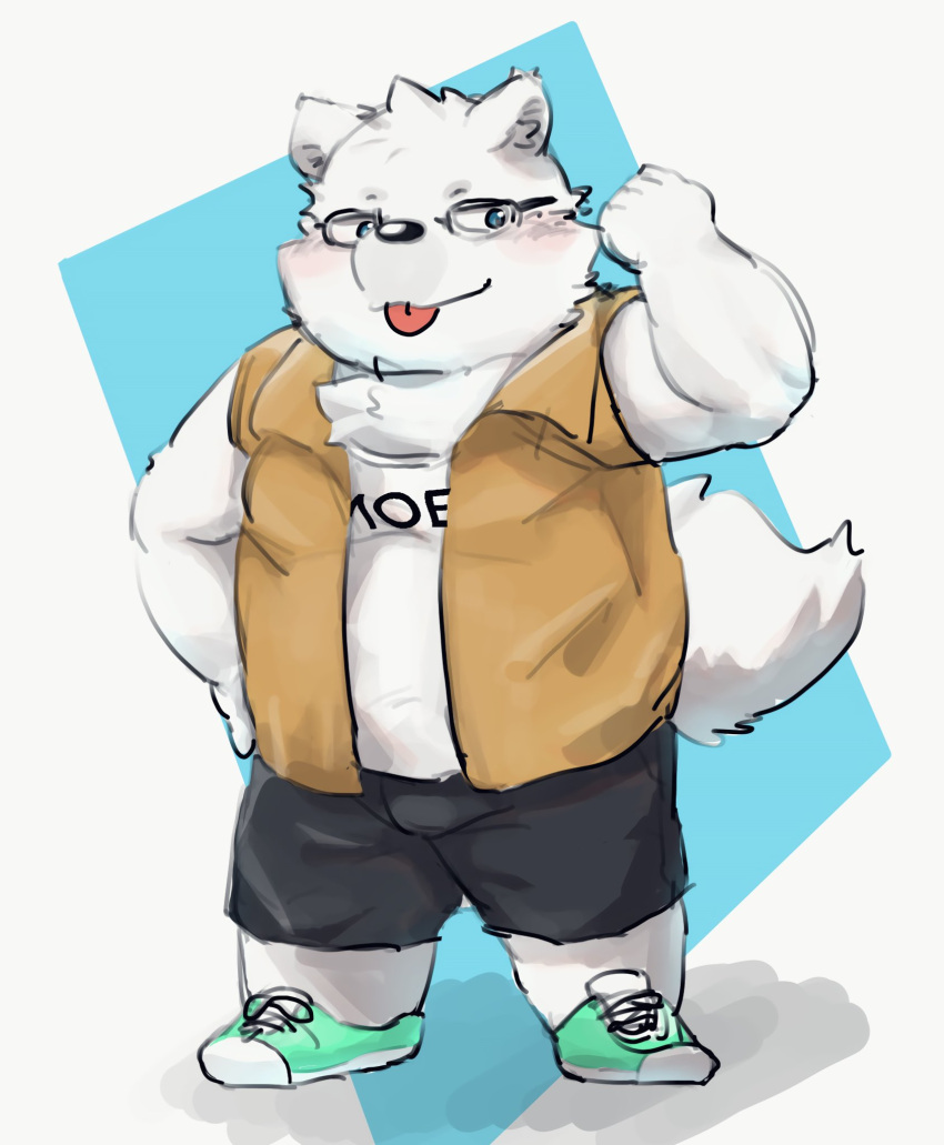 2021 anthro blush bottomwear canid canine canis clothing domestic_dog eyewear fur glasses hi_res kemono kipchin_2nd00 male mammal shirt shorts simple_background slightly_chubby solo tongue tongue_out topwear white_body white_fur