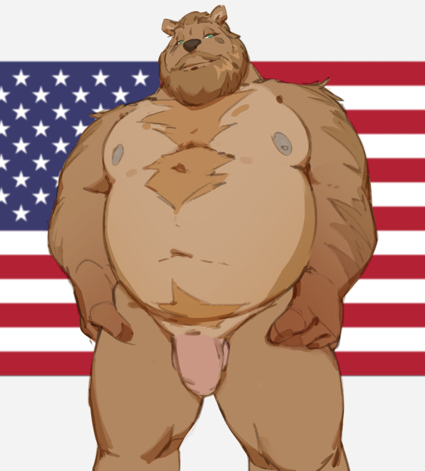 2021 absurd_res anthro balls beard belly body_hair brown_bear chest_hair facial_hair flaccid flag genitals hair hands_on_hips hi_res humanoid_genitalia humanoid_penis looking_at_viewer male mammal moobs musclegut muscular muscular_anthro muscular_male narrowed_eyes navel nipples nude overweight overweight_anthro overweight_male patriotism penis politics pubes simple_background solo standing stars_and_stripes united_states_of_america ursid ursine vincethetiger