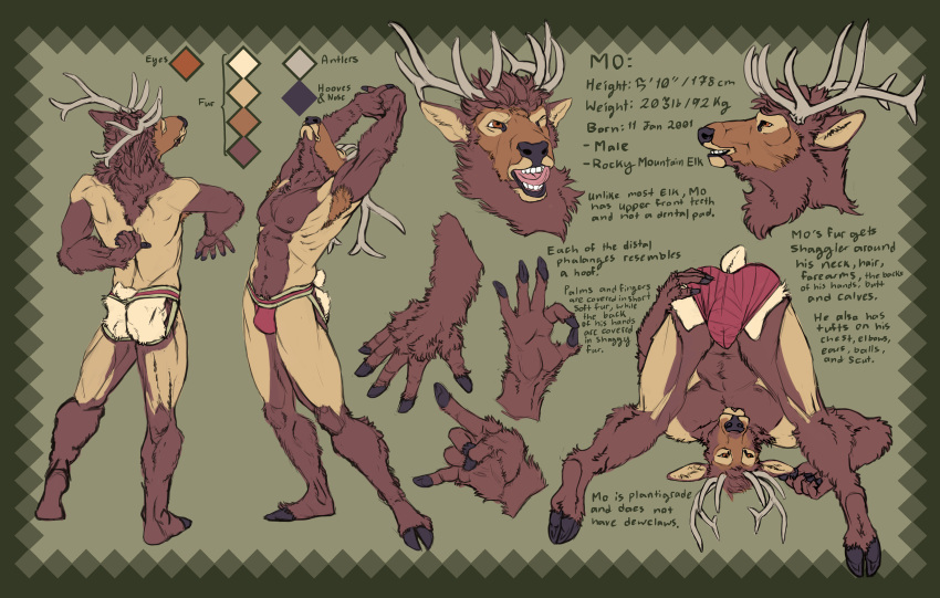 absurd_res anthro antlers ass_up bulge butt butt_tuft cervid cervine chest_tuft clothed clothing digital_media_(artwork) elk fur hair hi_res hooves horn jockstrap lying male mammal mo_(momamo) model_sheet momamo muscular muscular_anthro muscular_male nipples on_back open_mouth orange_body orange_eyes orange_fur orange_hair partially_clothed plantigrade simple_background smile solo standing tail_tuft tuft underwear white_body white_fur
