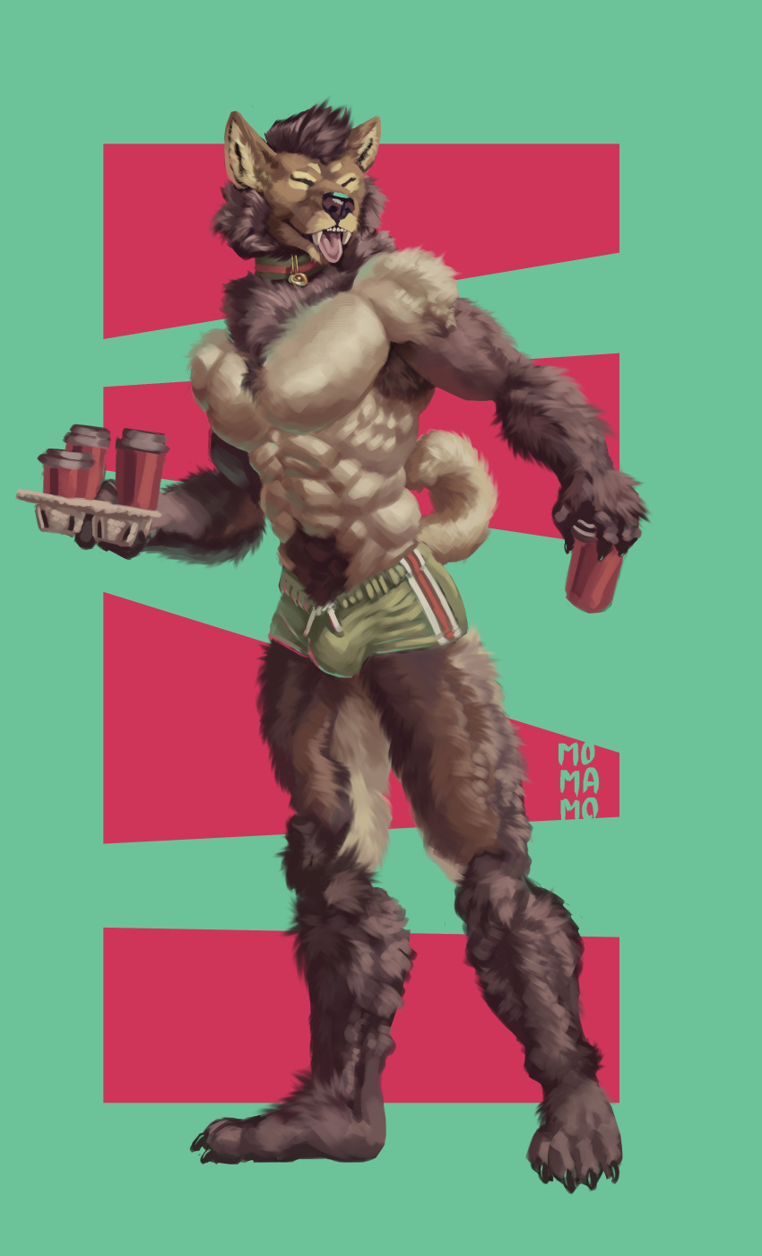 abs absurd_res anthro arm_tuft beverage biceps bottomwear brown_body brown_fur bulge canid canine canis chest_tuft clothed clothing coffee collar digital_media_(artwork) domestic_dog eyes_closed fluffy fluffy_hair fluffy_tail forearm_tuft forearms fur hair hi_res hotpants leg_fluff male mammal momamo muscular muscular_anthro muscular_male narrowed_eyes neck_tuft open_mouth partially_clothed pecs plantigrade shorts simple_background solo squint tongue tongue_out topless tuft tufted_fur