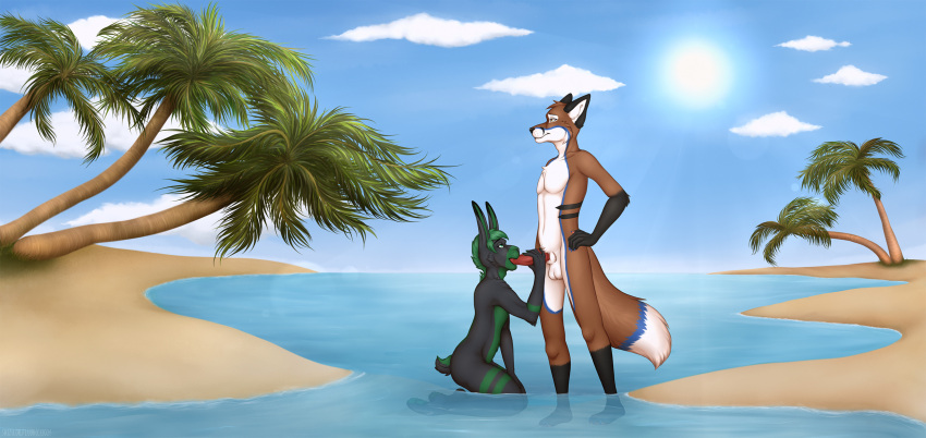 beach canid canine couple_(disambiguation) fellatio fox genitals hi_res knot lagomorph leporid luskfoxx male male/male mammal nude oral penile penis rabbit seaside sex shizu.or.fluor zebbunny