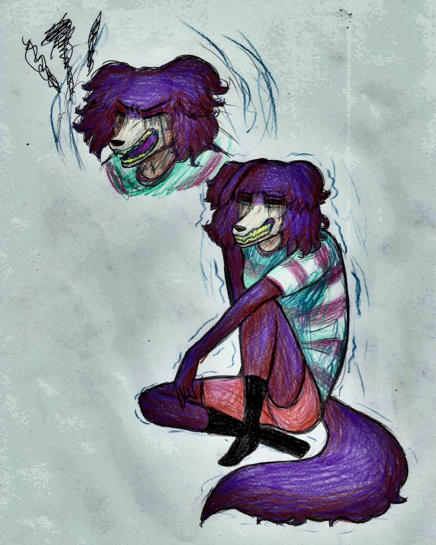 absurd_res anthro beastars black_clothing black_footwear black_socks bodily_fluids bottomwear canid canine canis clothed clothing depression eyes_closed female footwear fur hand_in_head hi_res juno_(beastars) mammal nervous purple_body purple_fur sad screaming shaking shorts simple_background socks solo stressed tears teeth_showing traumatized tunk_saray_lovesta wolf