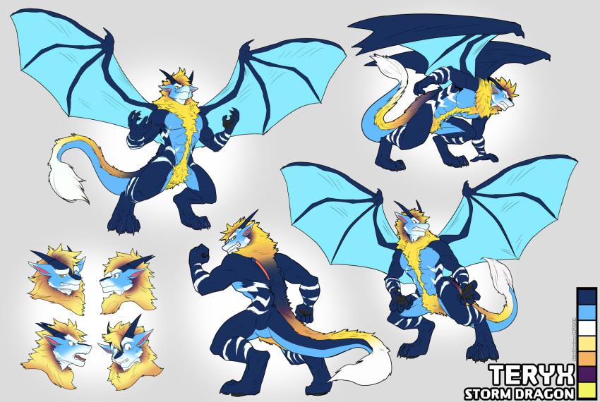 dragon feral hi_res juniorjosi model_sheet raining sheet_(disambiguation) storm teryx teryx_commodore