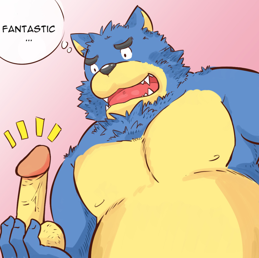 2015 andikapatok anthro balls black_nose blue_body blue_fur canid canine canis erection fur genitals kemono male mammal overweight overweight_anthro overweight_male penis simple_background solo text wolf