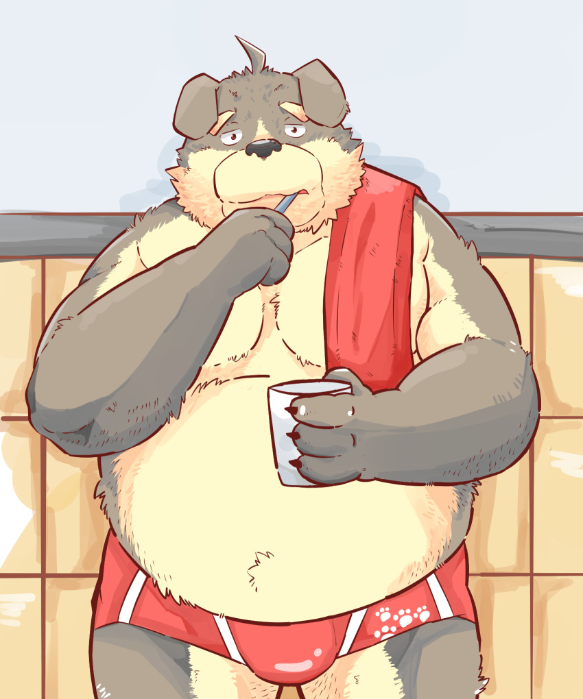 2015 andikapatok anthro bathroom belly brush brushing brushing_teeth bulge canid canine canis clothing domestic_dog hi_res humanoid_hands kemono male mammal overweight overweight_anthro overweight_male solo towel underwear