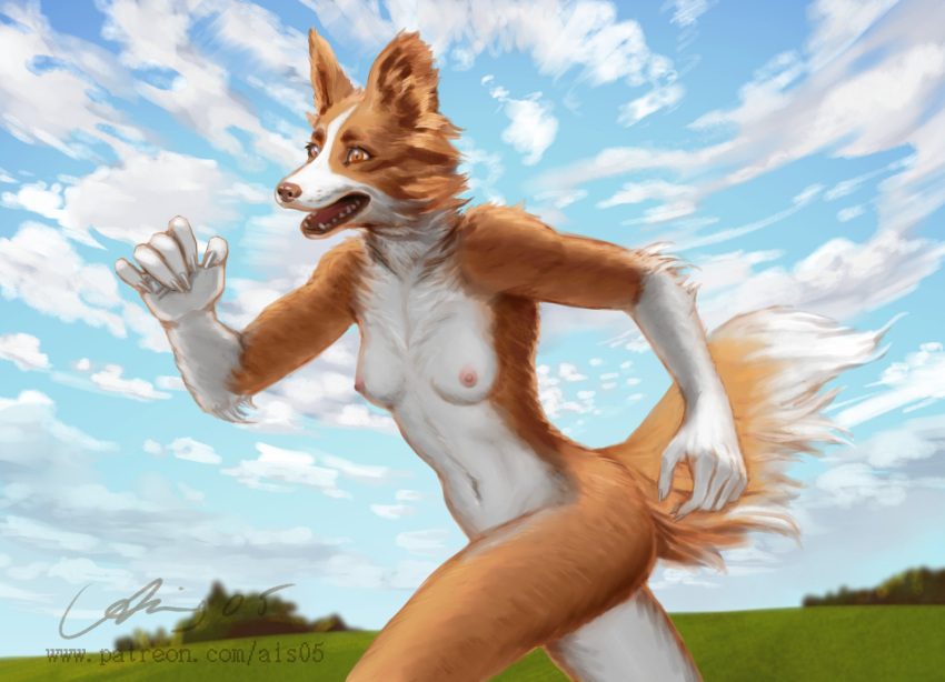 2020 5_fingers ais05 anthro areola biped border_collie breasts brown_nose canid canine canis cloud collie digital_media_(artwork) domestic_dog female fingers fur herding_dog hi_res mammal navel nipples nude open_mouth orange_body orange_eyes orange_fur outside pastoral_dog running sheepdog sky small_breasts solo tongue white_body white_fur