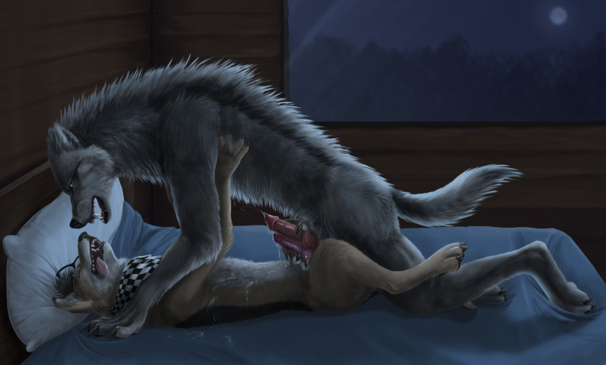 2015 animal_genitalia animal_penis anthro anthro_on_anthro arorcinus bed biped black_lips bodily_fluids brown_body brown_fur canid canine canine_penis canis claws cum cum_on_self cum_on_stomach cumshot detailed_background digital_media_(artwork) domestic_dog duo ejaculation erection fangs frottage fur furniture genital_fluids genitals grey_body grey_fur handjob inside knot lips lying male male/male mammal masturbation nude on_back on_bed open_mouth orgasm paws penile penile_masturbation penis sex snarling tongue tongue_out wolf yellow_eyes