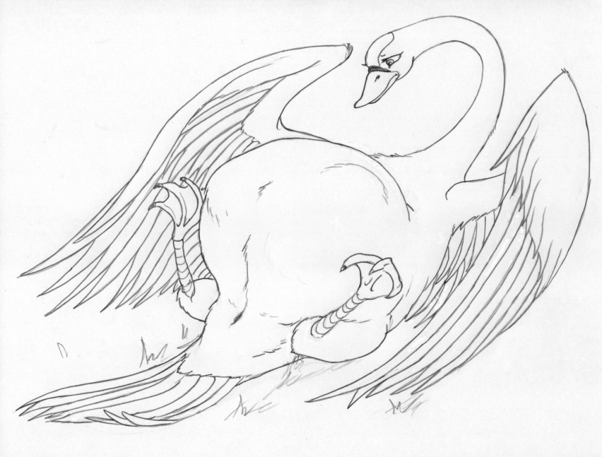 2009 3_toes anatid animal_genitalia anseriform anserinae avian beak belly big_belly bird bird_feet black_and_white cloaca eyelashes feathered_wings feathers feet female feral front_view frown genitals grass legs_up leovictor lying membrane_(anatomy) monochrome on_back plant pregnant princess_odette scutes simple_background sketch solo spread_legs spreading story story_in_description swan tail_feathers the_swan_princess toes traditional_media_(artwork) webbed_feet white_background wings