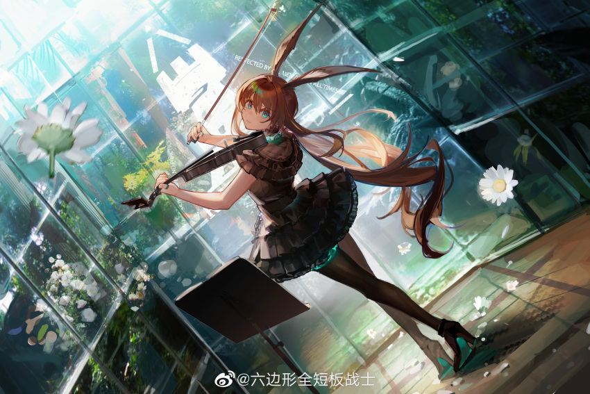 1girl absurdres amiya_(arknights) animal_ears arknights bare_arms black_dress black_footwear black_legwear blue_eyes bow_(instrument) brown_hair bunny_ears commentary_request dress dutch_angle flower frilled_dress frills from_behind full_body greenhouse hands_up high_heels highres instrument jewelry long_hair looking_at_viewer looking_back music music_stand neriash pantyhose playing_instrument rhodes_island_logo ring sleeveless sleeveless_dress solo standing thumb_ring violin weibo_logo weibo_username white_flower