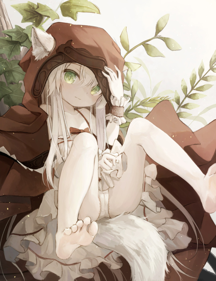 1girl animal_ear_fluff animal_ears barefoot blush cloak commentary_request dress feet foreshortening frilled_dress frills green_eyes highres hood hood_up hooded_cloak legs long_hair looking_at_viewer original panties red_cloak sitting soles solo tail toes underwear utatanecocoa white_dress white_hair white_panties wrist_cuffs