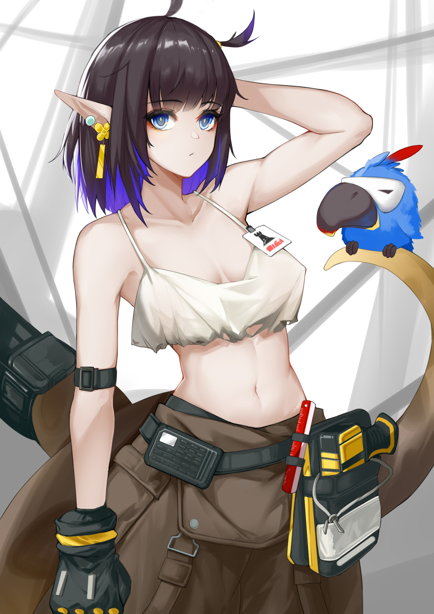 1girl absurdres arknights arm_up armband bangs bare_arms bare_shoulders bird black_gloves black_hair blue_eyes blue_hair camisole chinese_commentary commentary_request cowboy_shot crop_top eunectes_(arknights) eunectes_(forgemaster)_(arknights) eyebrows_visible_through_hair gloves grey_pants high_priest_(arknights) highres looking_at_viewer midriff multicolored_hair navel official_alternate_costume pants partial_commentary pointy_ears short_hair snake_tail solo spaghetti_strap standing stomach sue_yanagi-san tail