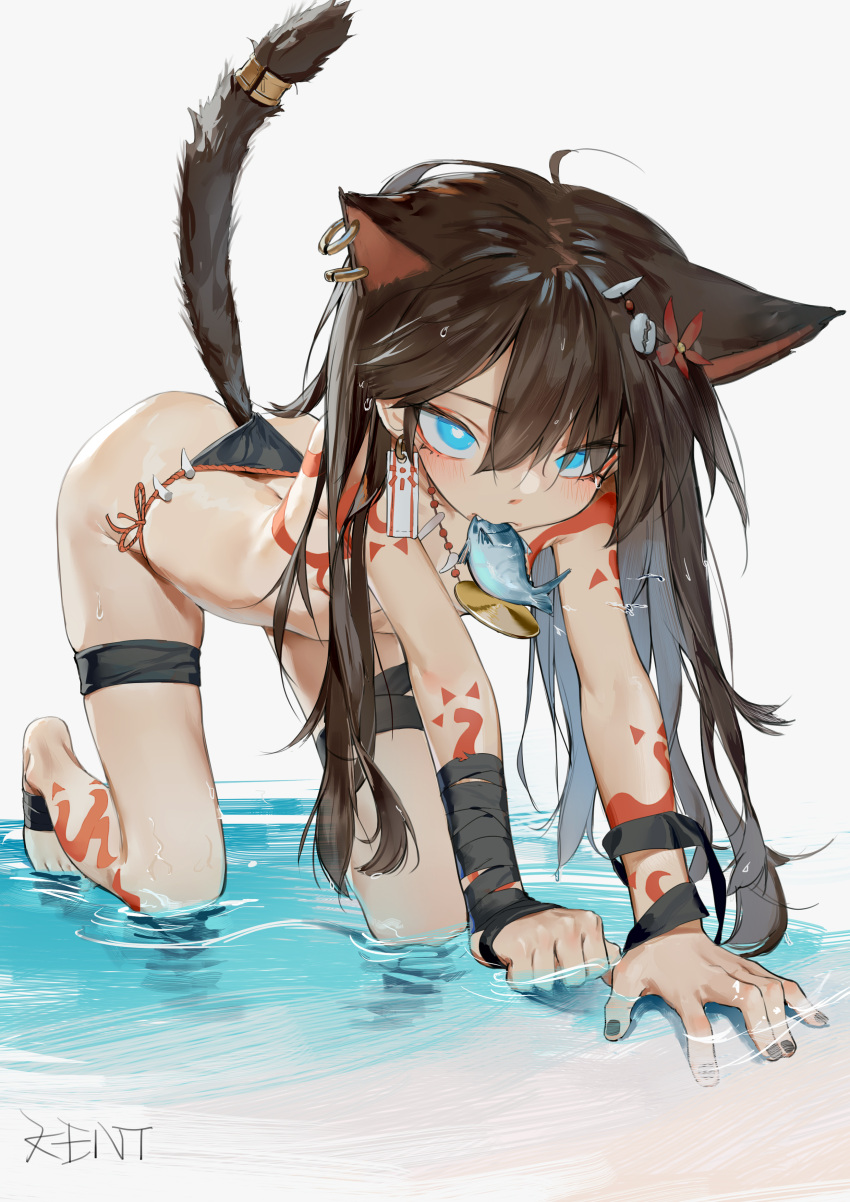 1girl absurdres all_fours animal_ears arm_wrap artist_name bangs bare_arms bare_legs barefoot black_nails blue_eyes brown_hair cat_ears cat_tail earrings fang fang_necklace fish_in_mouth flat_chest flower hair_flower hair_ornament highres in_water jewelry kentllaall leg_wrap light_blush long_hair looking_at_viewer messy_hair original panties shell_hair_ornament side-tie_panties skindentation solo tail tail_ornament tail_ring tattoo tooth_necklace topless underwear wet wet_hair white_background