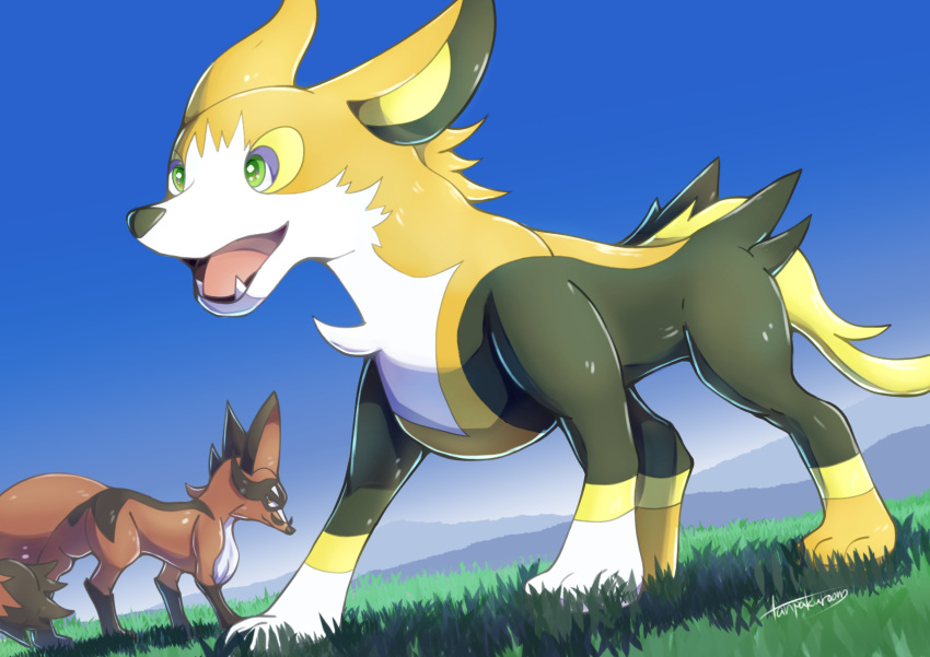 boltund commentary_request day dog fangs from_below gen_8_pokemon grass green_eyes highres no_humans open_mouth outdoors pokemon pokemon_(creature) signature sky tanpakuroom thievul tongue