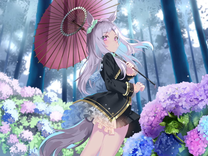 1girl ahoge animal_ears bangs black_jacket blue_flower blush commentary_request ear_ribbon eyebrows_visible_through_hair flower forest frilled_jacket green_ribbon highres holding holding_umbrella horse_ears horse_girl horse_tail hydrangea jacket long_hair long_sleeves looking_at_viewer mejiro_mcqueen_(umamusume) nature oil-paper_umbrella outdoors purple_eyes purple_flower purple_hair ribbon sho_(runatic_moon) solo standing tail umamusume umbrella