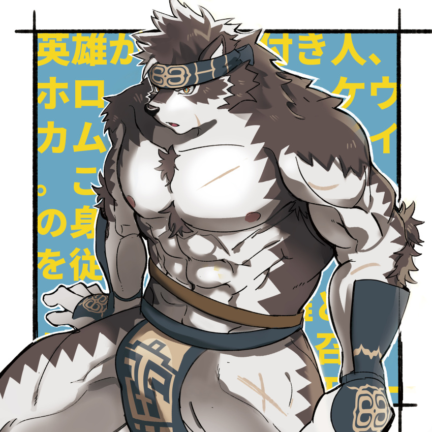 1boy abs absurdres animal_ears bara bare_pectorals be_(2368230) bulge chest_hair furry grey_fur grey_hair headband highres horkeu_kamui_(tokyo_houkago_summoners) large_pectorals male_focus muscular muscular_male navel nipples pectorals pelvic_curtain scar scar_on_chest scar_on_leg short_hair silver_hair sitting solo stomach tail tokyo_houkago_summoners white_fur wolf_boy wolf_ears wolf_tail yellow_eyes