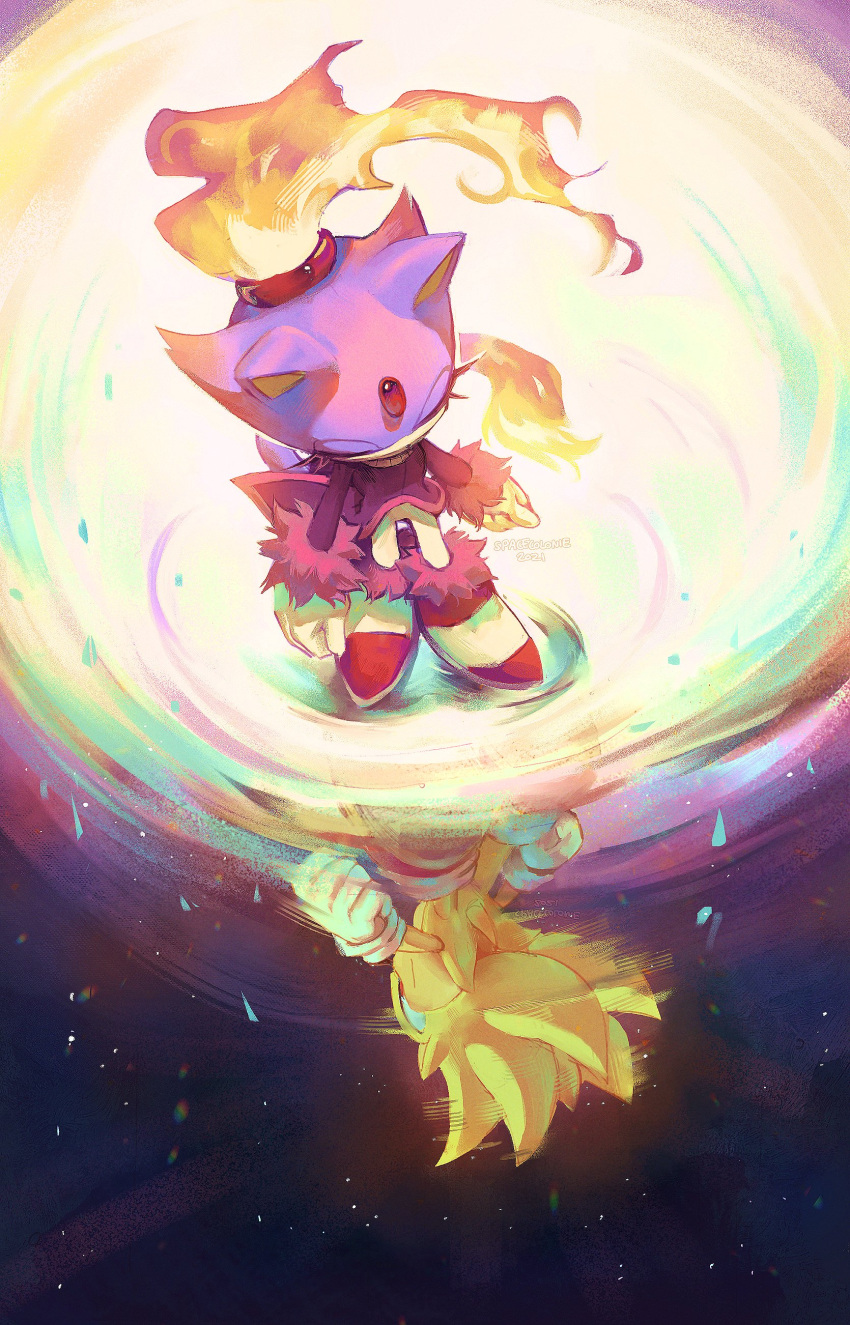 1boy 1girl absurdres animal_ears blaze_the_cat burning_blaze cat_ears cat_girl dress fire forehead_jewel full_body furry gloves hedgehog_boy highres reflection shoes sky sneakers sonic_(series) sonic_rush sonic_the_hedgehog spacecolonie standing star_(sky) starry_sky super_sonic upside-down white_gloves