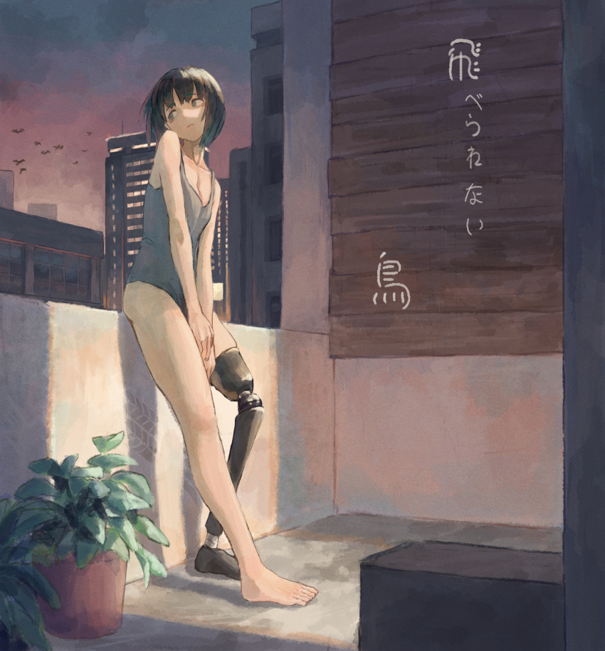 1girl against_wall balcony barefoot bird black_hair bob_cut building camisole check_commentary chinese_commentary city closed_mouth commentary_request from_side grey_camisole highres looking_to_the_side no_pants original others plant potted_plant prosthesis prosthetic_leg ranguage short_hair sideways_glance solo spaghetti_strap translated twilight v_arms