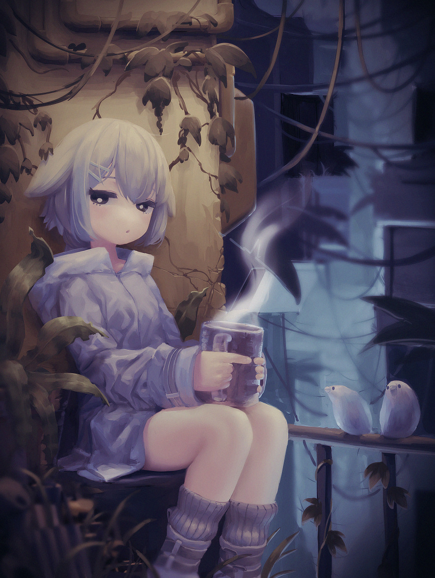 1girl :o absurdres animal animal_ears bangs bird black_eyes blurry blurry_background bright_pupils chair commentary cracked_wall cup darandy dead_plants hair_ornament hairclip highres holding holding_cup jacket leaf long_sleeves looking_at_viewer loose_socks mug noise original parted_lips railing ribbed_legwear short_hair sideways_glance sitting steam white_bird white_footwear white_hair white_jacket white_legwear white_pupils