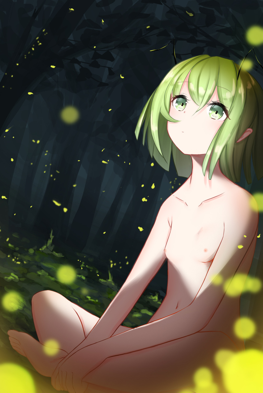 1girl antennae bangs blurry breasts collarbone completely_nude depth_of_field dutch_angle expressionless eyebrows_visible_through_hair fireflies forest green_eyes green_hair hair_between_eyes highres indian_style looking_up nature navel night nipples nude outdoors ri-el short_hair sitting small_breasts solo touhou tree wriggle_day wriggle_nightbug