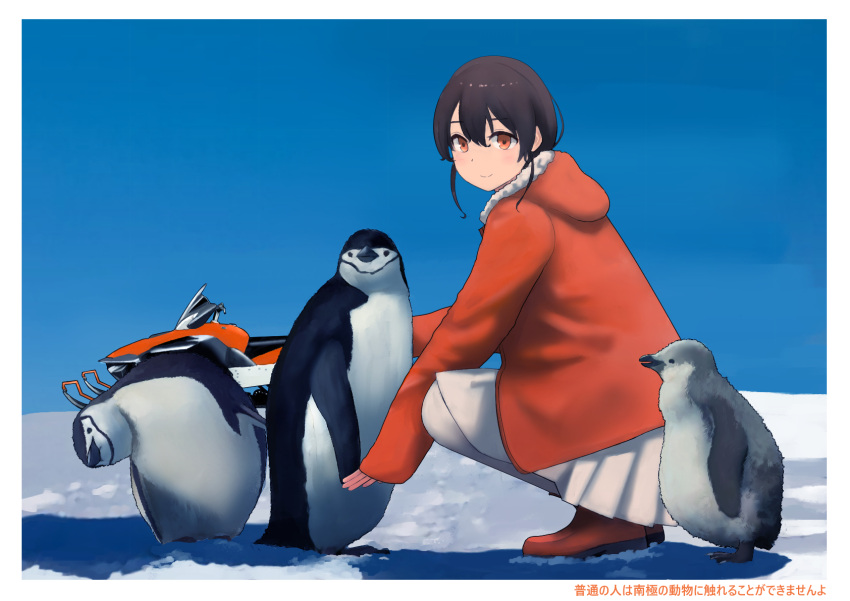 1girl bird black_hair day highres hood hood_down hooded_jacket jacket kantai_collection long_sleeves orange_eyes orange_jacket outdoors penguin pleated_skirt skirt snowmobile solo souya_(kancolle) timmyyen white_legwear white_skirt