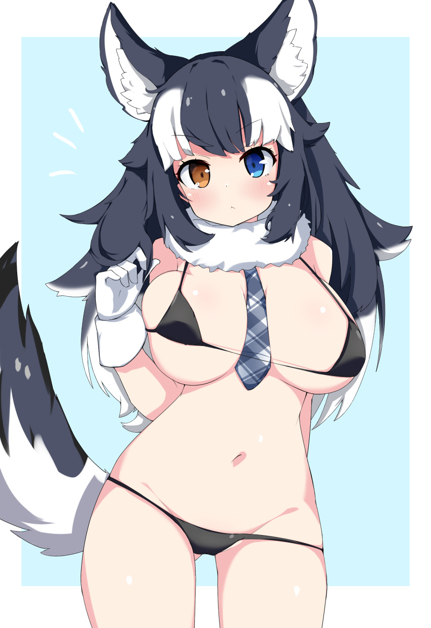 1girl :&lt; ^^^ animal_ear_fluff animal_ears berusa_(berutoo) between_breasts bikini black_bikini black_hair blush breasts cleavage eyebrows_visible_through_hair gloves grey_wolf_(kemono_friends) groin heterochromia highres kemono_friends kemono_friends_3 large_breasts looking_at_viewer micro_bikini multicolored_hair navel necktie necktie_between_breasts side-tie_bikini solo string_bikini swimsuit tail two-tone_hair white_gloves white_hair wolf_ears wolf_girl wolf_tail