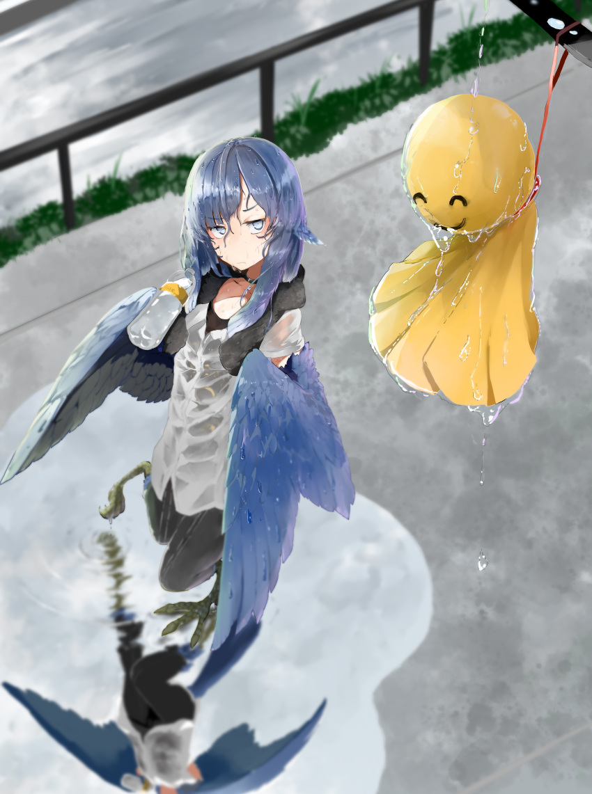 1girl absurdres after_rain animal_ears bangs bird_ears bird_legs black_neckwear black_pants blue_eyes blue_feathers blue_hair blue_wings bottle charm_(object) choker commentary_request digitigrade eyebrows_visible_through_hair feathered_wings frown hair_between_eyes harpy highres holding holding_bottle huge_filesize long_hair miura_(rnd.jpg) monster_girl original outdoors pants puddle railing raised_eyebrow reflection reflective_water rnd.jpg shirt short_sleeves solo talons teruterubouzu twitter_username water_bottle wet wet_clothes wet_hair white_shirt winged_arms wings