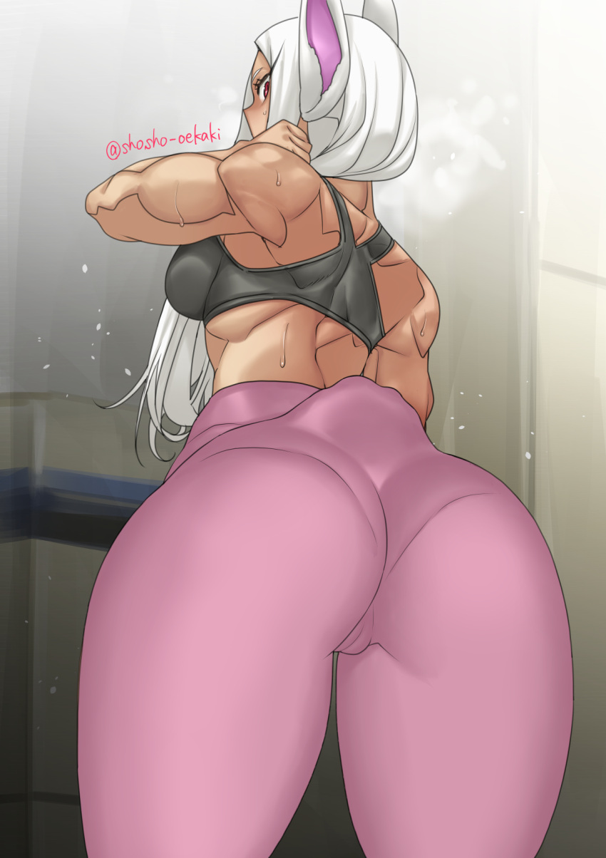 animal_ears ass boku_no_hero_academia bra bunny_ears cameltoe gym_uniform shosho tail usagiyama_rumi wet