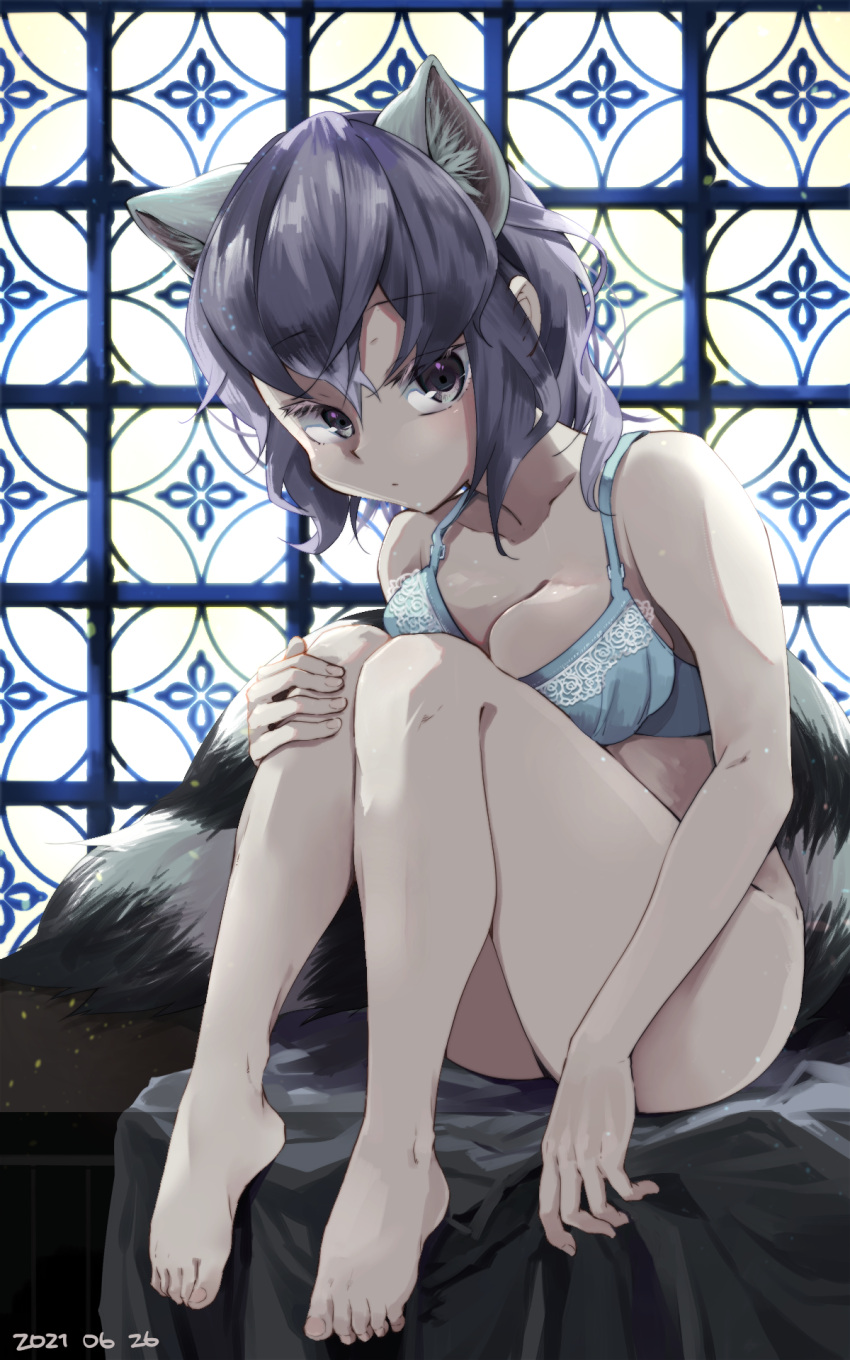 1girl animal_ear_fluff animal_ears backlighting bangs bare_arms bare_legs bare_shoulders barefoot bottomless bra breasts cleavage closed_mouth common_raccoon_(kemono_friends) expressionless extra_ears eyebrows_visible_through_hair full_body hand_on_own_knee highres kemono_friends knees_together_feet_apart knees_up leaning_forward looking_at_viewer medium_breasts medium_hair nanana_(nanana_iz) parted_lips purple_hair raccoon_ears raccoon_girl raccoon_tail sidelocks silver_eyes sitting solo tail toes unaligned_breasts underwear underwear_only