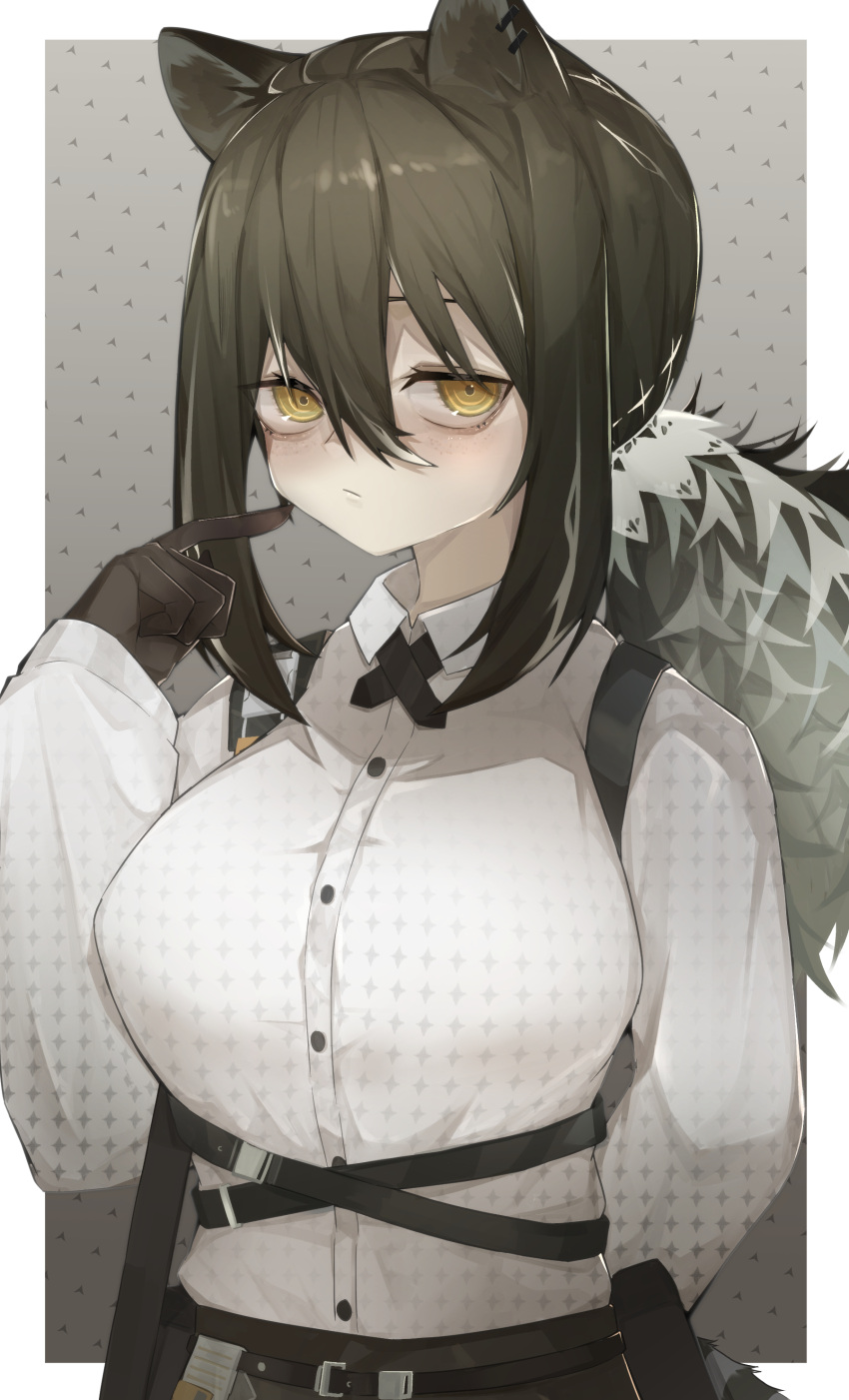 1girl absurdres animal_ears animal_hands arknights arm_behind_back black_hair black_shorts blush breasts chalos commentary finger_to_cheek hair_between_eyes highres large_breasts long_hair ponytail raccoon_ears raccoon_girl raccoon_tail robin_(arknights) shirt shorts solo tail upper_body white_shirt yellow_eyes
