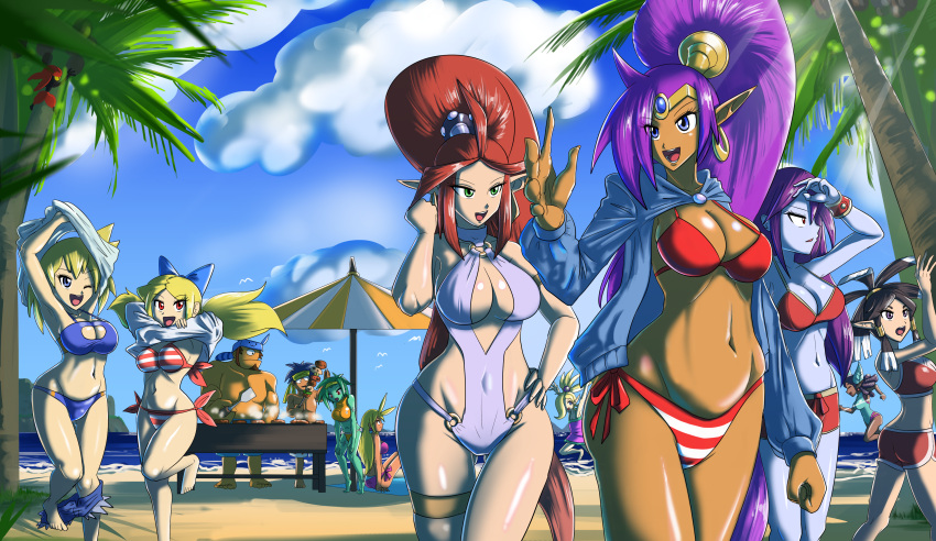 bikini garter harmony_(shantae) plink_(shantae) pointy_ears risky_boots rottytops shantae shantae_(character) sky_(shantae) swimsuits tagme undressing vera_(shantae) zapple_(shantae)