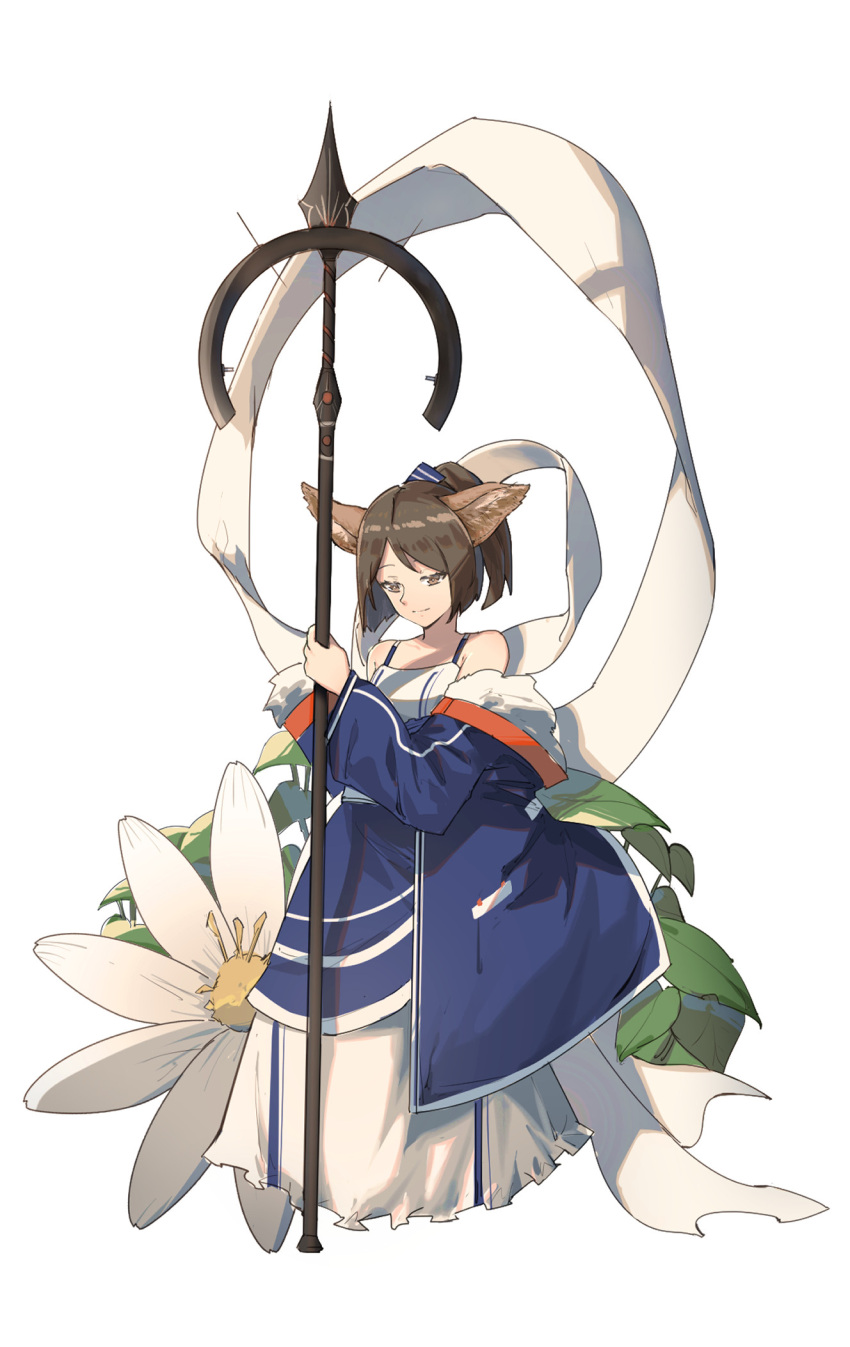 1girl animal_ears arknights blue_jacket brown_eyes brown_hair commentary_request cropped_legs dress flower fox_ears fur-trimmed_jacket fur_trim hand_up highres holding holding_staff jacket looking_down oversized_flowers perfumer_(arknights) ponytail ribbon short_hair simple_background solo spaghetti_strap staff vchan white_background white_dress white_flower white_ribbon