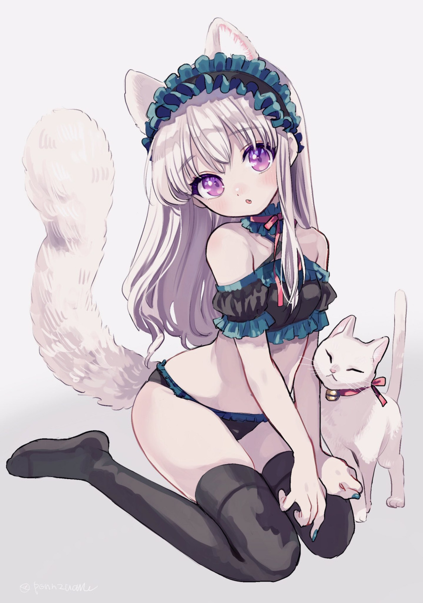 1girl amezawa_koma animal_ears bare_shoulders black_legwear cat cat_ears cat_tail frilled_hairband frilled_panties frills full_body hairband highres long_hair original panties purple_eyes sitting tail thighhighs underwear wariza white_cat white_hair