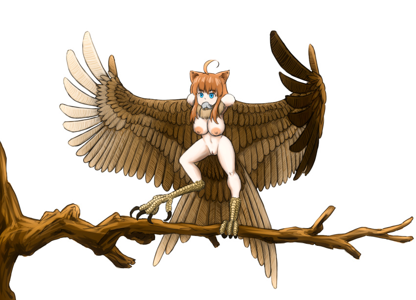1girl ahoge animal_ears animal_feet bird_legs bird_tail blue_eyes breasts brown_feathers brown_hair brown_wings capiocapan cat_ears commentary_request eyebrows_visible_through_hair feathered_wings feathers harpy large_breasts long_hair monster_girl mouse mouth_hold neck_ruff nipples nude original outstretched_arms pussy sidelocks simple_background solo standing standing_on_branch tail tail_feathers talons tree_branch white_background winged_arms wings