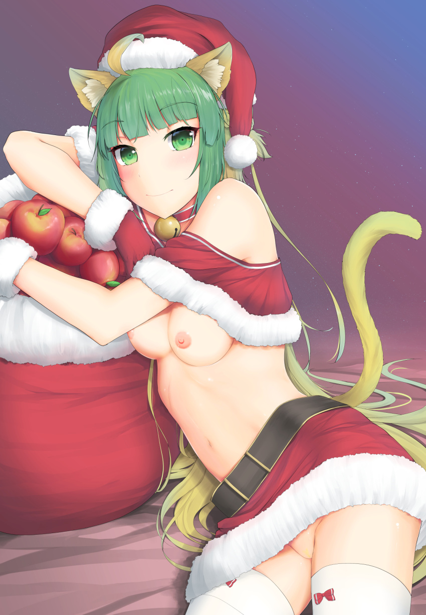 animal_ears archer_of_red breasts christmas fate/apocrypha fate/grand_order fate/stay_night nekomimi nipples no_bra nopan tagme tail thighhighs