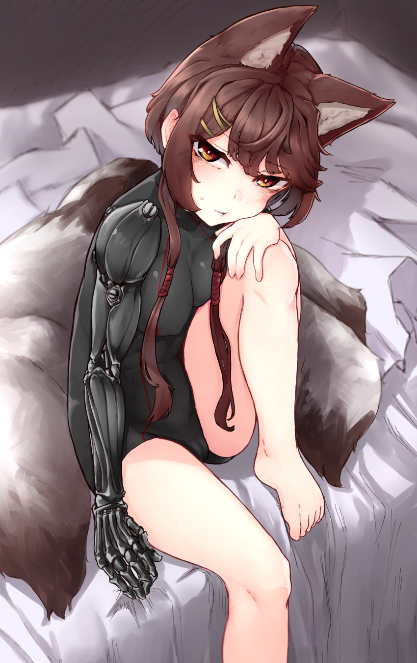 1girl :t absurdres animal_ears bed black_leotard blush breasts brown_eyes brown_hair cheek_rest clip_studio_paint_(medium) fluffy girls'_frontline glaring highres k0ng knee_up leotard looking_at_viewer mechanical_arms medium_breasts no_jacket official_alternate_costume on_bed short_hair_with_long_locks sidelocks single_mechanical_arm solo sweatdrop tail tied_hair tsurime type_79_(girls'_frontline) wolf_ears wolf_tail