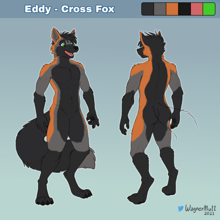 ambiguous_gender andromorph anthro canid canine cross eddy_fox_crossfox featureless_crotch fox furry hi_res intersex invalid_tag leaning mammal model_sheet solo wagnermutt