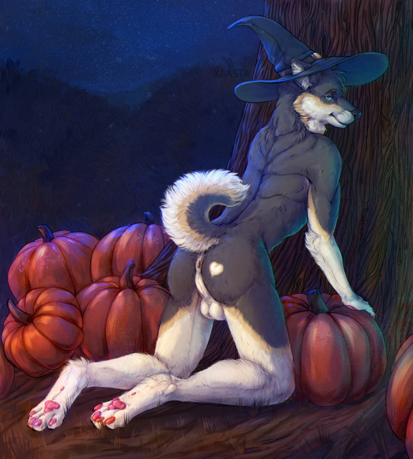 anthro anus backsack balls bent_over butt canid canine canis chunks_(bestdoggo) clothing curled_tail domestic_dog food fruit genitals hat headgear headwear heart_marking hi_res looking_at_viewer looking_back male mammal night nonbinary_(lore) pawpads paws perineum plant presenting presenting_hindquarters pumpkin shiba_inu solo solo_focus spitz witch_hat xaasta