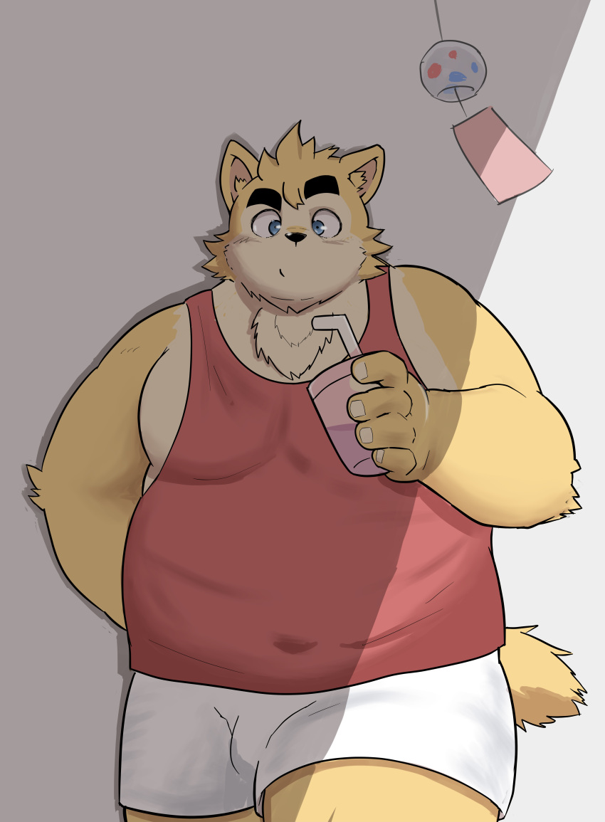 2021 absurd_res anthro belly bottomwear brown_body brown_fur canid canine canis clothing domestic_dog fur hi_res humanoid_hands kemono male mammal moobs overweight overweight_male sakisukem shirt shorts simple_background solo tank_top topwear