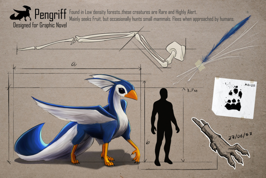 3:2 anonymous_artist avian beak belly bird black_eyes blue_body blue_fur bone english_text feathers feral fur gryphon hi_res human hybrid issac_lim long_tail male mammal mythological_avian mythology penguin scaled solo text white_belly white_body white_chest white_fur wings
