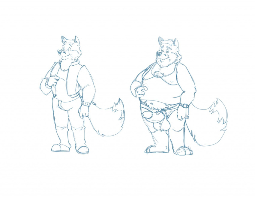 2018 anthro balls bottomwear bravo canid canine clothing erection fox genitals humanoid_genitalia humanoid_hands humanoid_penis male mammal mature_male overweight overweight_male pants penis shirt simple_background sketch solo topwear white_background