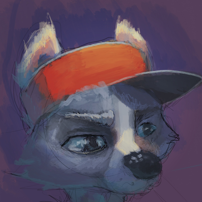 ambiguous_gender anthro black_nose blue_sclera clothed clothing countershade_face countershading digital_media_(artwork) digital_painting_(artwork) eyebrows fur gooseberryjuice grey_body grey_eyebrows grey_eyes grey_fur hat headgear headshot_portrait headwear hi_res male mammal monotone_nose portrait procyonid raccoon shaded simple_background solo white_body white_countershading white_fur