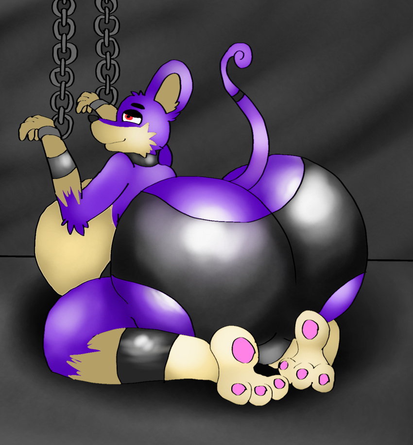 anthro belly big_belly big_butt bulge butt chain chained clothing dahliathefox dungeon hi_res huge_butt hyper hyper_belly hyper_butt looking_pleasured male mammal mouse murid murine nintendo paws pok&eacute;mon pok&eacute;mon_(species) rat rattata ratty_(dahliathefox) rodent rubber sex_dungeon sex_slave slave solo submissive submissive_male underwear video_games wide_hips
