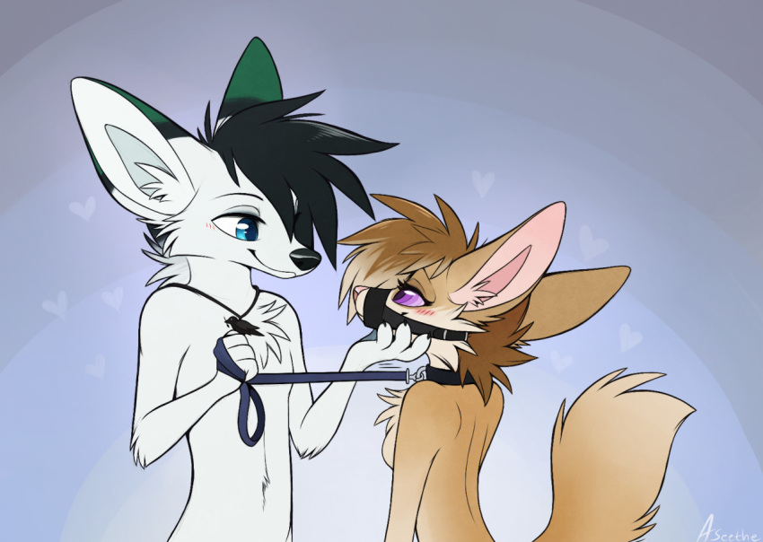 &lt;3 2021 anthro arctic_fox aseethe big_ears black_hair breasts brown_hair canid canine collar duo eye_contact female fennec fox fur hair hand_on_chin holding_leash holding_object jewelry leash looking_at_another male male/female mammal mind_control muzzle_(object) muzzled necklace nude ringed_eyes side_boob simple_background submissive submissive_female tan_body tan_fur white_body white_fur