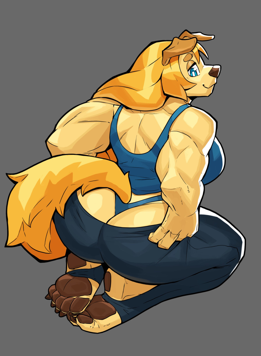 2021 5_toes absurd_res anthro back_muscles big_breasts big_butt bird_dog blonde_hair blue_eyes breasts brown_pawpads butt canid canine canis ceehaz claws clothing curvy_figure dog_knight_rpg domestic_dog feet female golden_retriever grey_background hair hi_res hunting_dog jeane_(ceehaz) kneeling looking_back mammal muscular muscular_arms muscular_female pawpads rear_view retriever simple_background smile solo stirrup_legwear toe_claws toeless_legwear toes underwear voluptuous