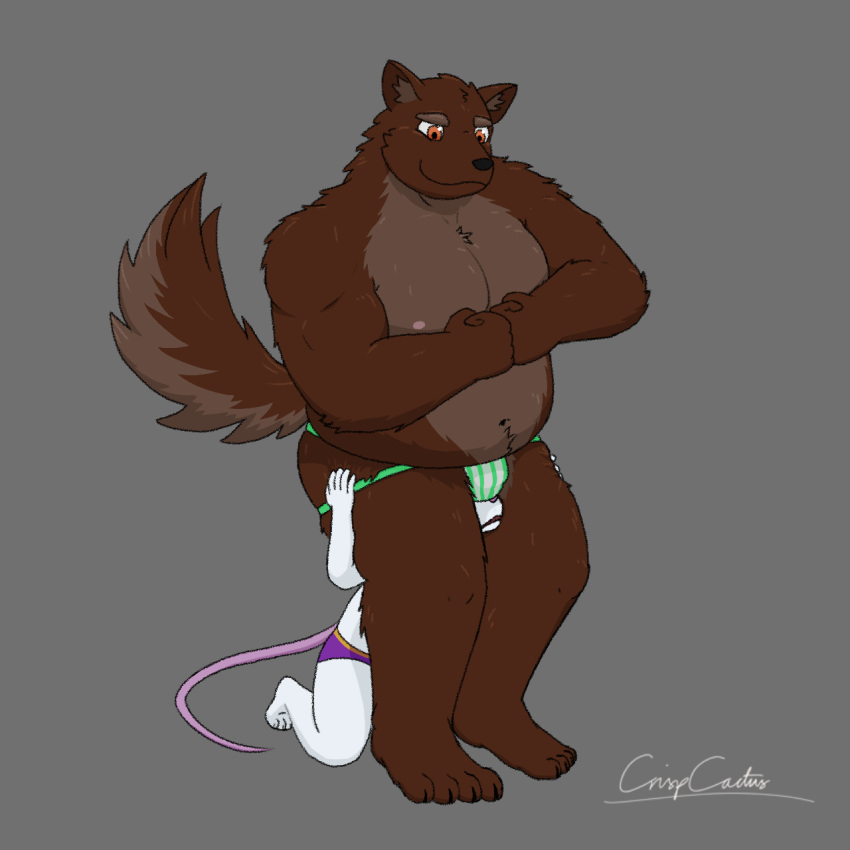 1:1 2020 anthro belly black_nose brown_body brown_fur bulge canid canine canis clothing crispcactus duo fur hi_res humanoid_hands jockstrap male mammal moobs mouse murid murine nipples overweight overweight_male rodent simple_background underwear white_body white_fur wolf